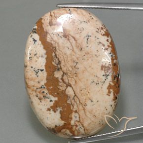 54.96ct Natural Multicolor Jaspe, Ovalada, Opaco