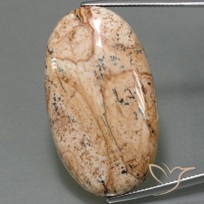 49.05ct Natural Multicolor Jaspe, Ovalada, Opaco