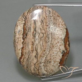49.58ct Natural Multicolor Jaspe, Ovalada, Opaco
