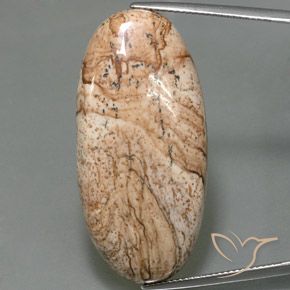 44.33ct Natural Multicolor Jaspe, Ovalada, Opaco