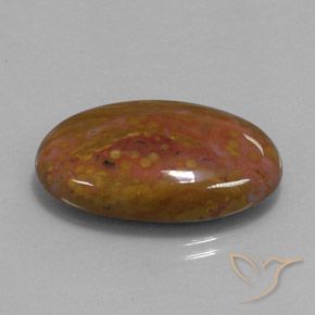 Jaspe Multicolor natural de 27.84 ct, Ovalada, Opaco
