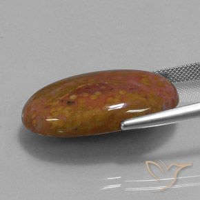 Jaspe Multicolor natural de 27.84 ct, Ovalada, Opaco