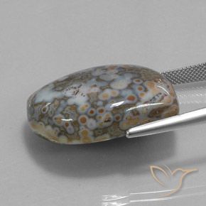 Jaspe Multicolor natural de 45.73 ct, Elegante, Opaco