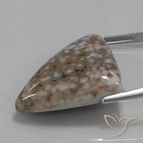 Jaspe Multicolor natural de 40.07 ct, Trillón, Opaco