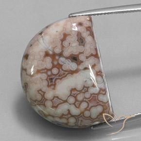 35.32ct Natural Multicolor Jaspe, Elegante, Opaco