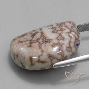 Jaspe Multicolor natural de 35.32 ct, Elegante, Opaco