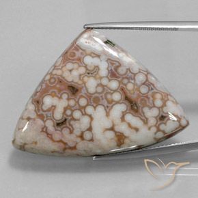 Jaspe Multicolor natural de 48.51 ct, Trillón, Opaco