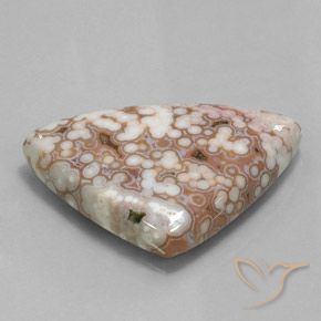 Jaspe Multicolor natural de 48.51 ct, Trillón, Opaco