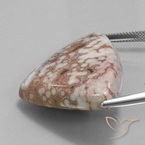 Jaspe Multicolor natural de 48.51 ct, Trillón, Opaco