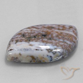 Jaspe Multicolor natural de 50.91 ct, Elegante, Opaco