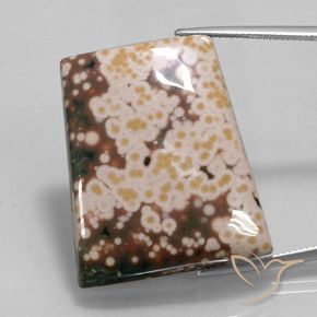 65.30ct Natural Multicolor Jaspe, Elegante, Opaco