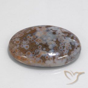 Jaspe Multicolor natural de 43.68 ct, Ovalada, Opaco