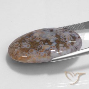 Jaspe Multicolor natural de 43.68 ct, Ovalada, Opaco