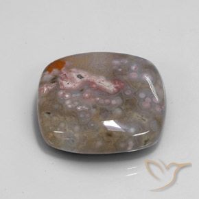 Jaspe Multicolor natural de 48.00 ct, Forma Cojín, Opaco