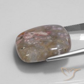 Jaspe Multicolor natural de 48.00 ct, Forma Cojín, Opaco