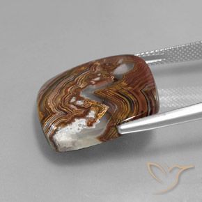 Jaspe Multicolor natural de 17.20 ct, Forma Cojín, Opaco