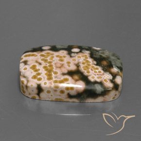 Jaspe Multicolor natural de 20.08 ct, Forma Cojín, Opaco