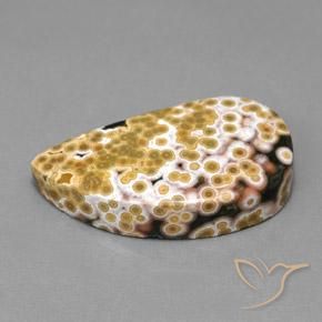 Jaspe Multicolor natural de 11.97 ct, Elegante, Opaco
