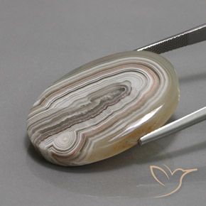 Jaspe Multicolor natural de 32.23 ct, Ovalada, Opaco