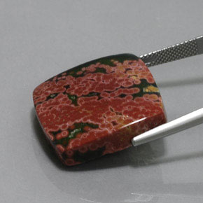 Jaspe Multicolor natural de 31.23 ct, Corte Cojín, Opaco