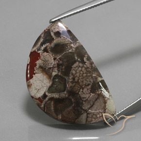 20.05ct Natural Multicolor Jaspe, Elegante, Opaco