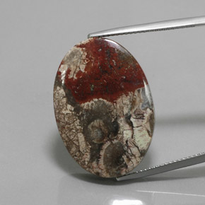 Jaspe multicolor natural de 20,06 ct, corte óvalo, opaco