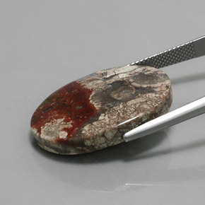 Jaspe multicolor natural de 20,06 ct, corte óvalo, opaco