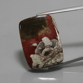 Jaspe multicolor natural de 25,26 ct, corte cojín, opaco