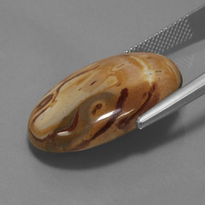 Jaspe Multicolor natural de 19.06 ct, Corte Óvalo, Opaco