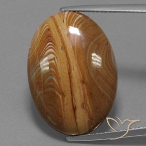 19.54ct Natural Multicolor Jaspe, Ovalada, Opaco