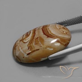 Jaspe Multicolor natural de 13.71 ct, Ovalada, Opaco