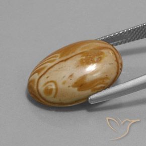 Jaspe Multicolor natural de 9.73 ct, Ovalada, Opaco