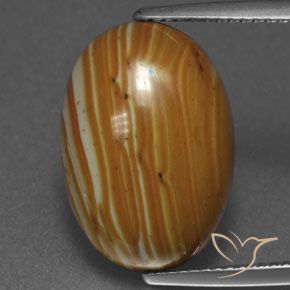 8.92ct Natural Multicolor Jaspe, Ovalada, Opaco, Photo A