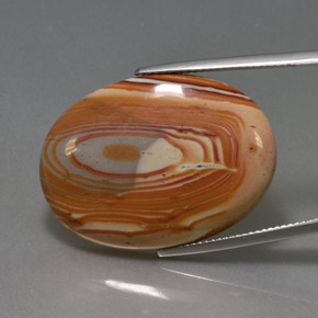 Jaspe multicolor natural de 24,42 ct, corte óvalo, opaco