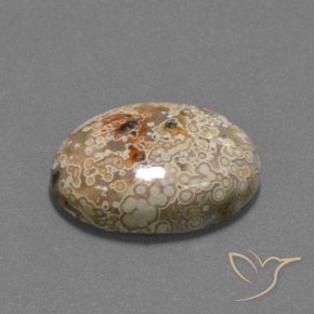 Jaspe Multicolor natural de 15.73 ct, Ovalada, Opaco