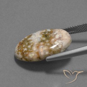 Jaspe Multicolor natural de 12.13 ct, Ovalada, Opaco