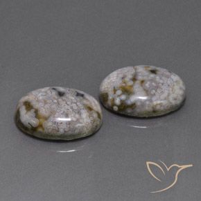 Gemas de Jaspe Multicolor natural de 26.88 ct, Ovalada, Opaco