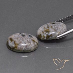 Gemas de Jaspe Multicolor natural de 26.88 ct, Ovalada, Opaco