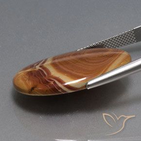 Jaspe Multicolor natural de 21.59 ct, Ovalada, Opaco