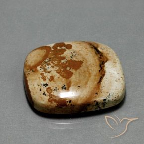Jaspe Multicolor natural de 40.24 ct, Forma Cojín, Opaco