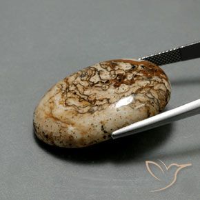Jaspe Multicolor natural de 37.73 ct, Ovalada, Opaco