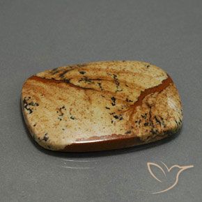 Jaspe Multicolor natural de 27.74 ct, Forma Cojín, Opaco