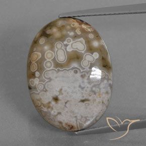 12.72ct Natural Multicolor Jaspe, Ovalada, Opaco