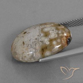 Jaspe Multicolor natural de 12.72 ct, Ovalada, Opaco