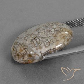 Jaspe Multicolor natural de 12.43 ct, Ovalada, Opaco