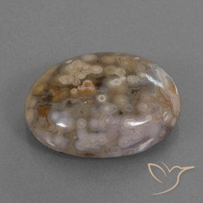 Jaspe Multicolor natural de 15.78 ct, Ovalada, Opaco