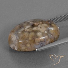 Jaspe Multicolor natural de 15.78 ct, Ovalada, Opaco