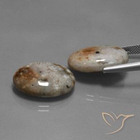 Gemas de Jaspe Multicolor natural de 26.60 ct, Ovalada, Opaco