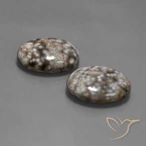 Gemas de Jaspe Multicolor natural de 26.12 ct, Ovalada, Opaco