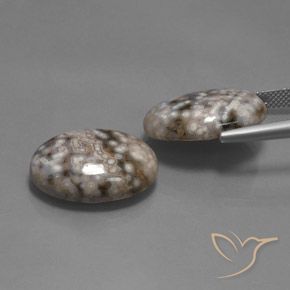 Gemas de Jaspe Multicolor natural de 26.12 ct, Ovalada, Opaco